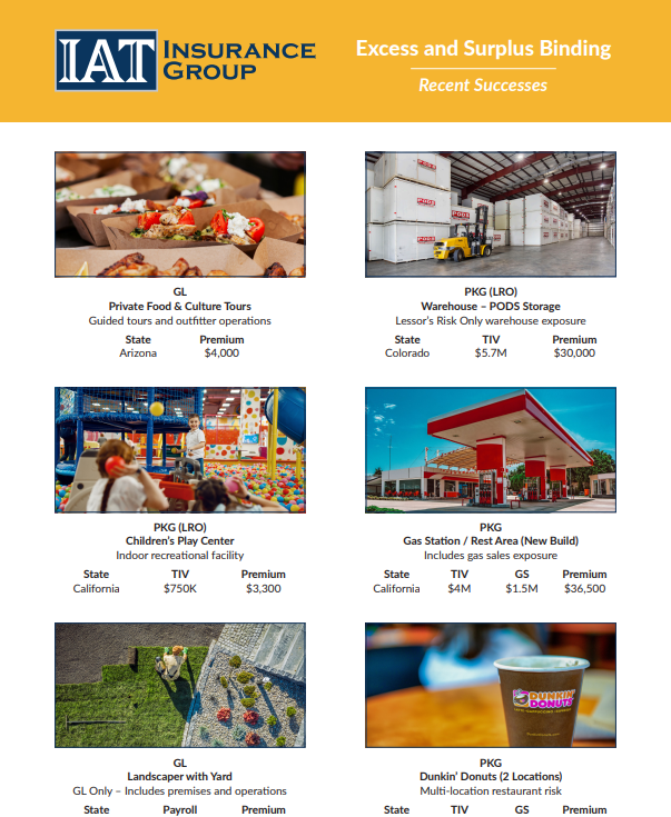 Recent Successes-2